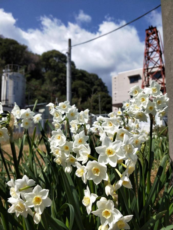 Izu Shirada Villa 伊豆白田家 Higashiizu Exterior photo